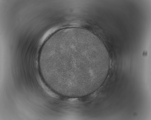 X0000112380054200909101356