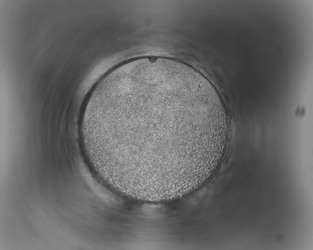 X0000112380055200909101356