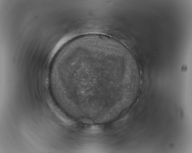 X0000112380056200909101356