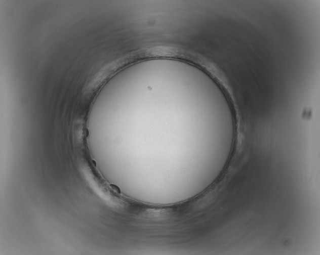 X0000112380057200909101356