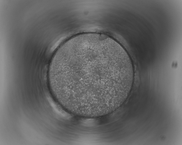 X0000112380058200909101356