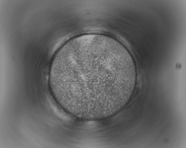 X0000112380059200909101356