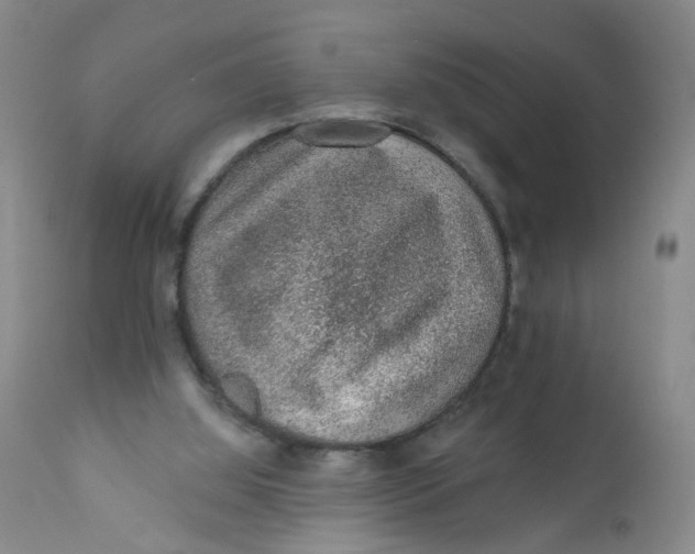 X0000112380060200909101356