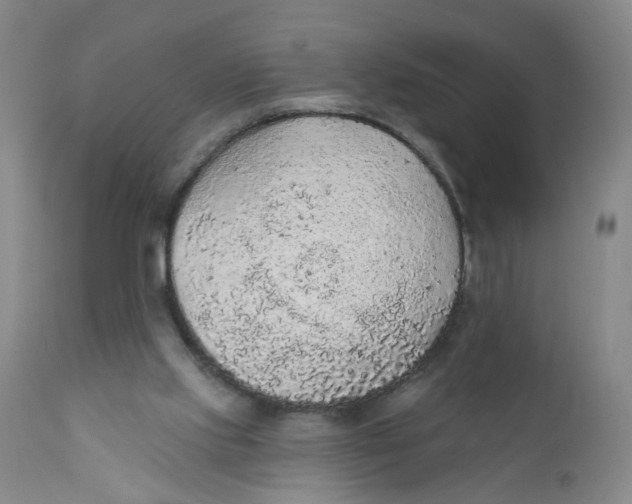 X0000112380061200909101356