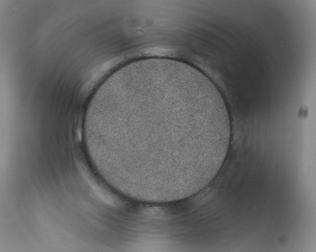 X0000112380062200909101356