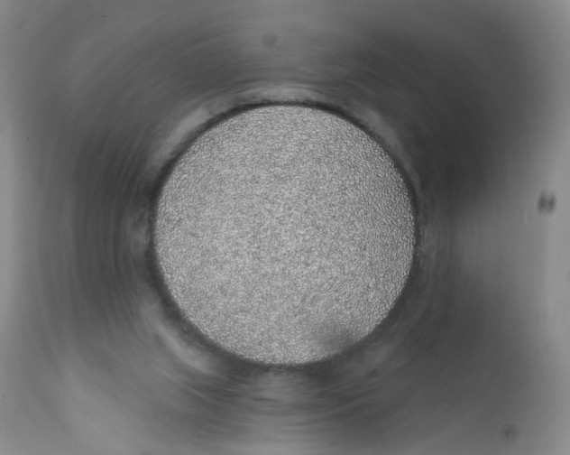 X0000112380063200909101356