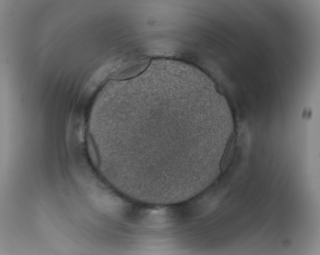 X0000112380068200909101356