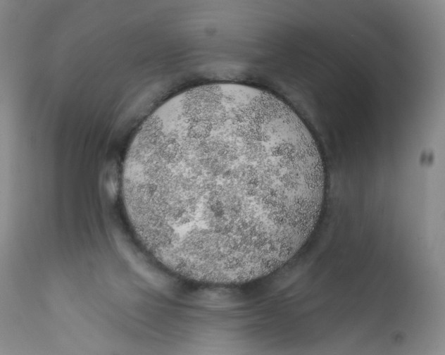 X0000112380069200909101356