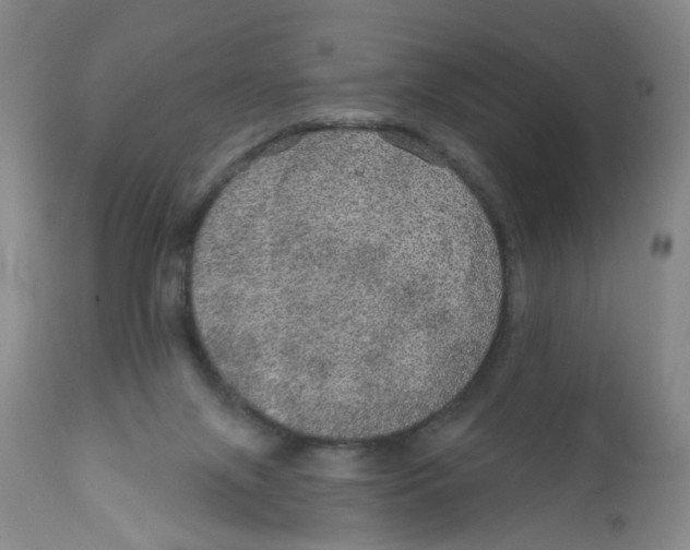 X0000112380071200909101356