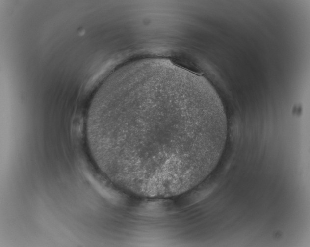 X0000112380072200909101356