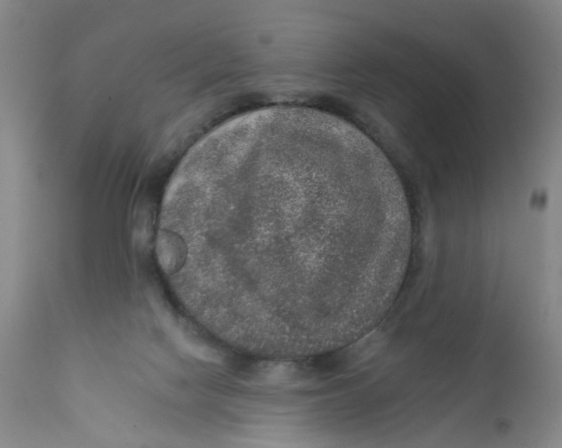 X0000112380074200909101356