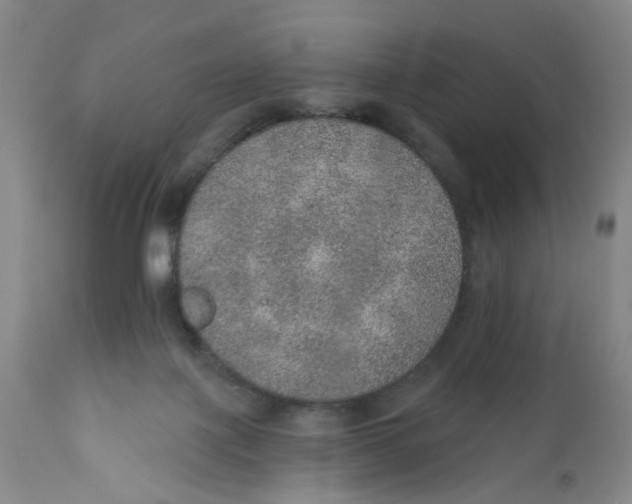 X0000112380075200909101356