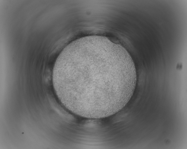 X0000112380077200909101356