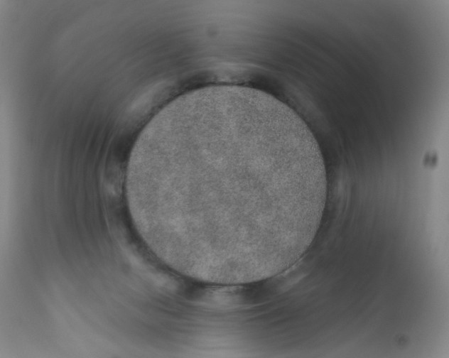 X0000112380078200909101356