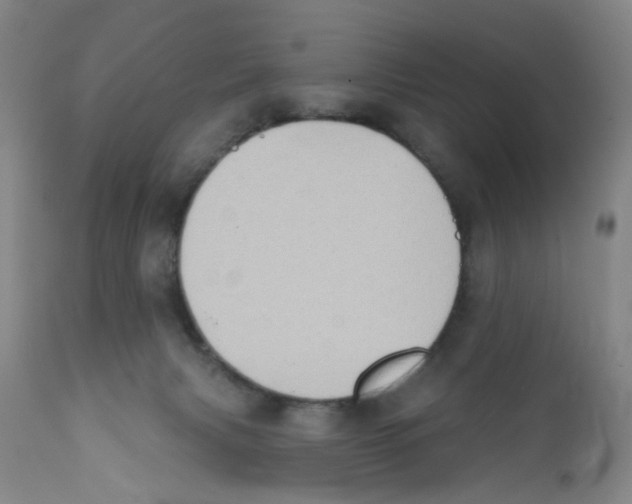 X0000112380079200909101357