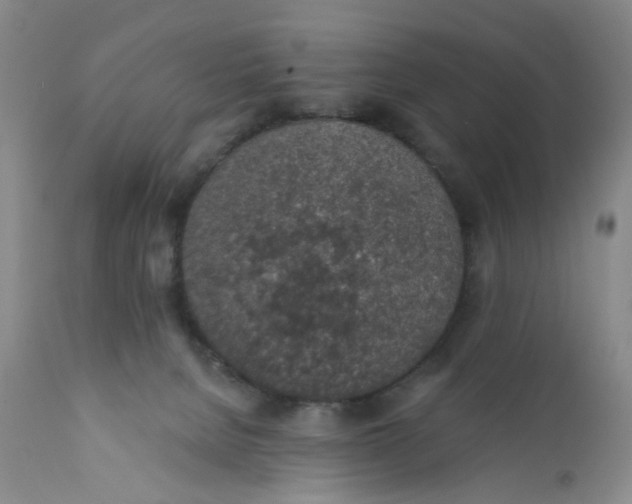 X0000112380080200909101357