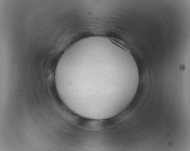 X0000112380084200909101357