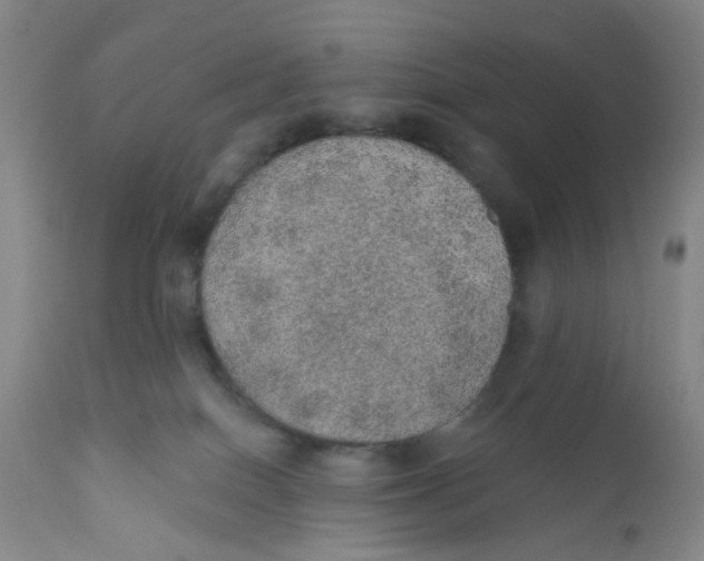 X0000112380086200909101357