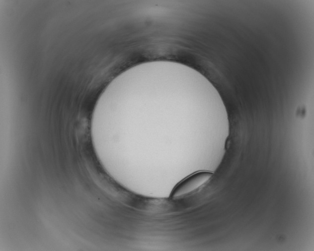 X0000112380087200909101357