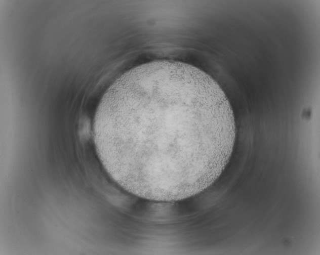 X0000112380089200909101357