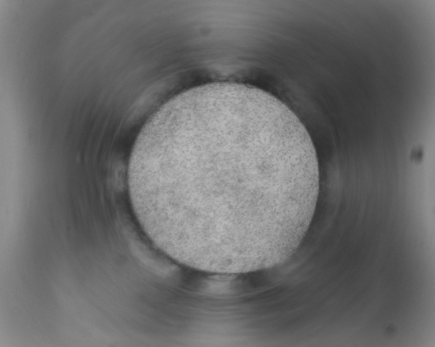 X0000112380090200909101357