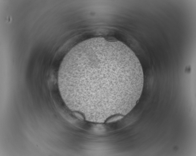 X0000112380091200909101357