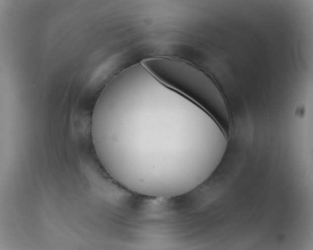 X0000112380092200909101357