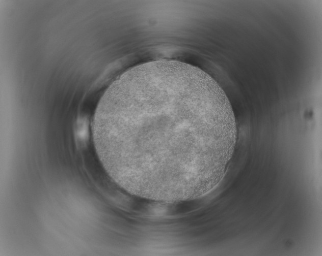 X0000112380094200909101357