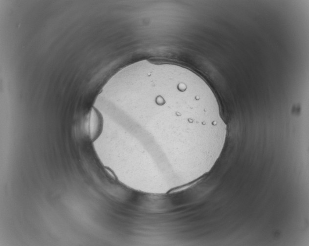 X0000112380095200909101357