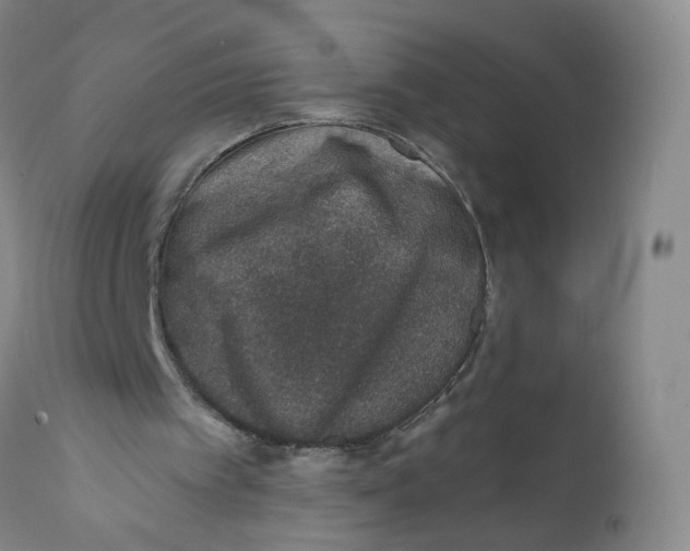 X0000112380097200909101356