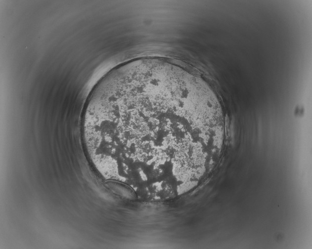 X0000112380099200909101356