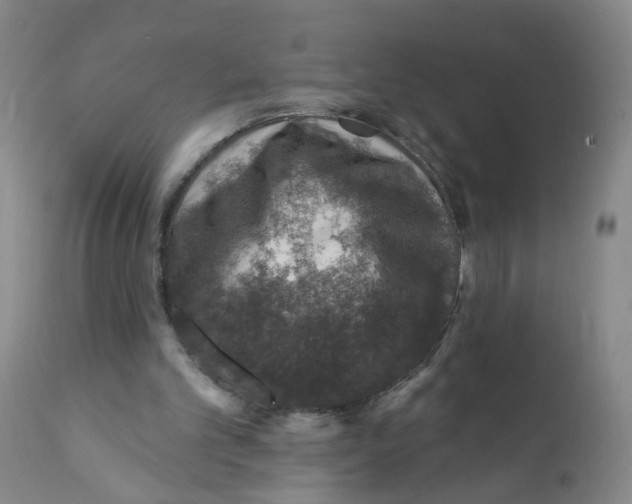 X0000112380101200909101356