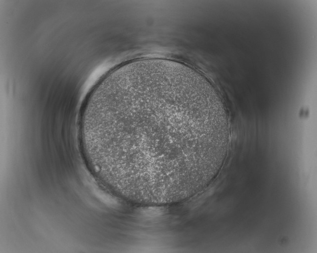 X0000112380102200909101356