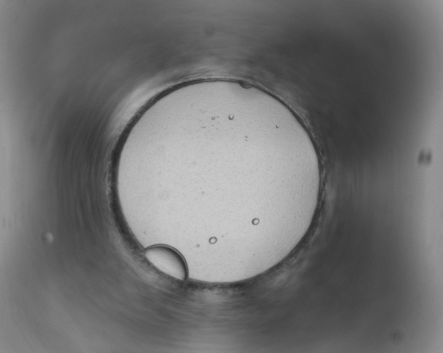 X0000112380103200909101356