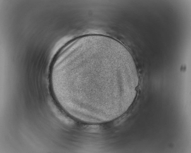 X0000112380104200909101356