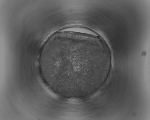 X0000112380105200909101356