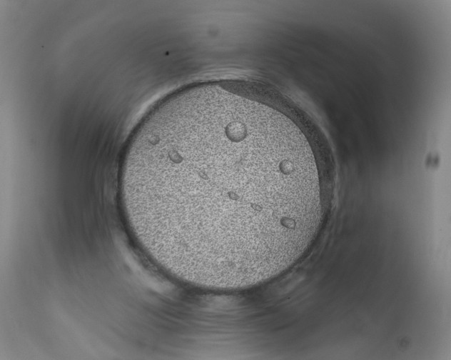 X0000112380107200909101356