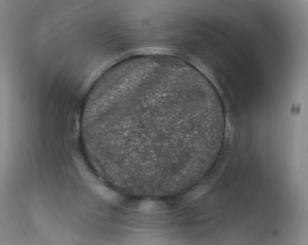 X0000112380109200909101356