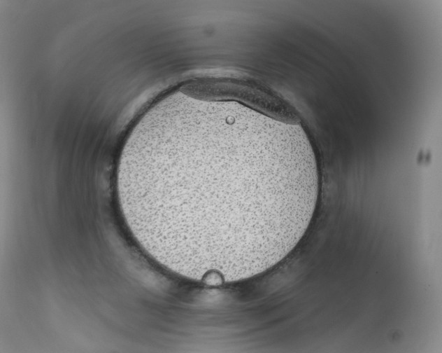 X0000112380111200909101356