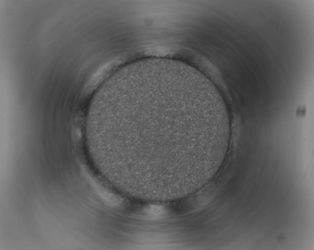 X0000112380114200909101356