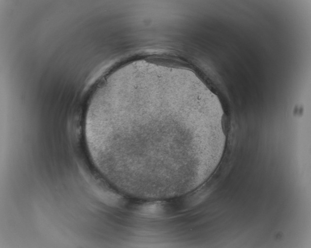 X0000112380116200909101356