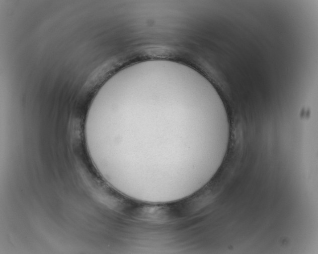 X0000112380117200909101356