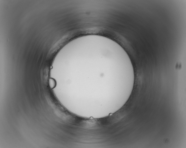 X0000112380118200909101356