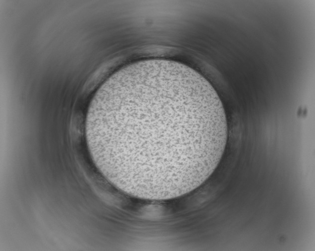 X0000112380119200909101356