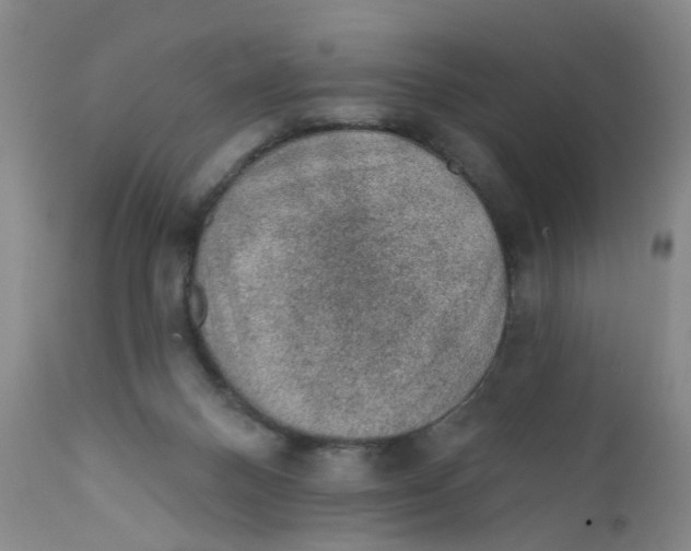 X0000112380120200909101356