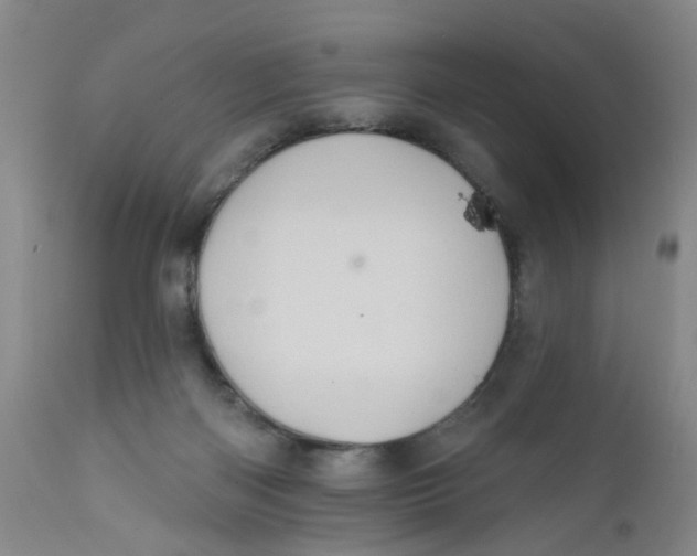 X0000112380122200909101356