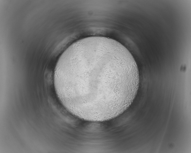 X0000112380123200909101356