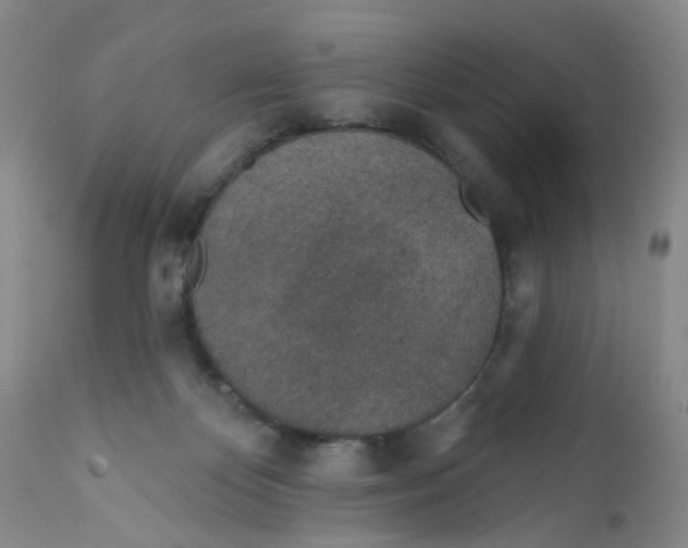 X0000112380124200909101356