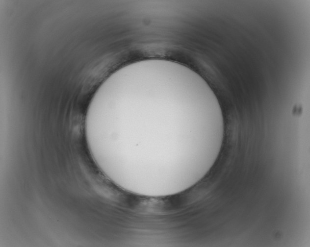 X0000112380125200909101356