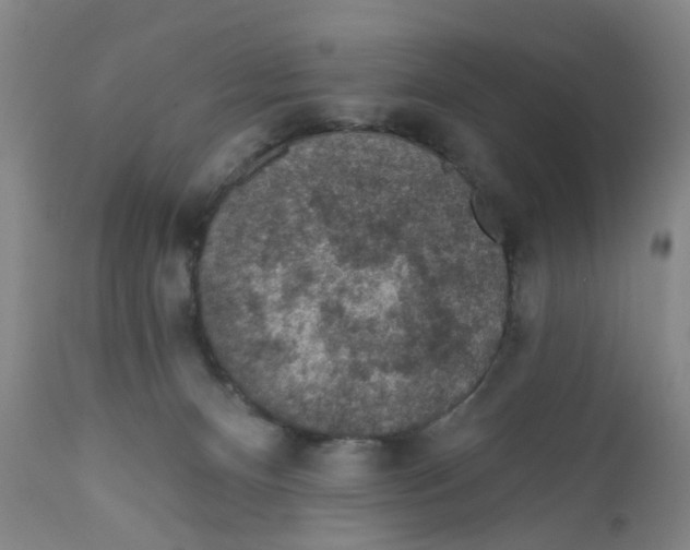 X0000112380128200909101356